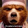 Martin Muirhead's profile picture