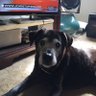 Donna's profile picture