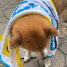 fun 的头像