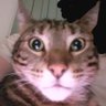 Profilbild von -Pickle-