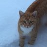 EileenW profil fotoğrafı