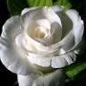 Profilbild von Mayrita