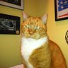 Jackie profil fotoğrafı