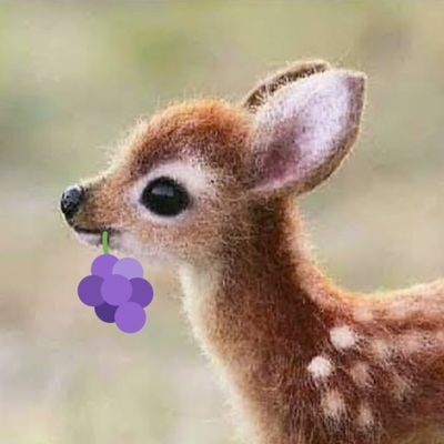 moksi_moksi's profile picture