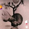 PitbullMuamar profil fotoğrafı