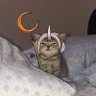 . profil fotoğrafı