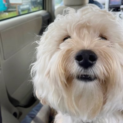 kamamama24's profile picture
