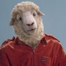 Indubitably's profile picture