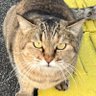あすぱら!!'s profile picture