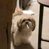 RaSoo 的头像