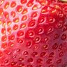 StrawBerry-KingMaN profil fotoğrafı