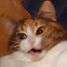 Profilbild von .