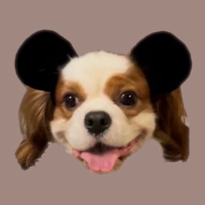キャバリアるっちゃん's profile picture