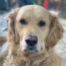 Profilbild von David
