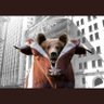 Bull et Bear 13 🇫🇷🇲🇦☪️☮️☯️✡️🛐💲✝️🌈 的头像