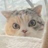 KEN profil fotoğrafı