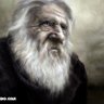 Profilbild von Matus Allen