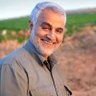 محمود وهابی گوکی 的头像