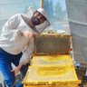 Profilbild von 🐝 ZEP ZENGİN BALCI ⲎⲀSO 🍯