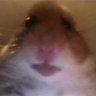 Profilbild von 41241241241241241241241241412412412412412412412412