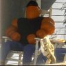 Profilbild von Ty