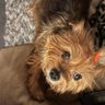 Monica profil fotoğrafı