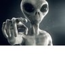 Ken Whitman's profile picture