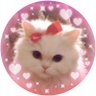 Фото профиля 💒キティ💕🥀ミ・◦・ミ🎀