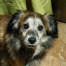Ximena A.G profil fotoğrafı