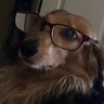 Tia4419's profile picture