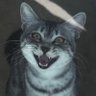Profilbild von cool cat