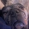 Steve Nelson's profile picture