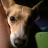TootieT's profile picture