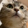 Berlioz's profile picture