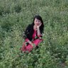 Mai hải Vĩnh 的头像