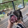 Profilbild von BarryWhite