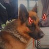 Rockie's profile picture