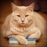 imnovembercat's profile picture