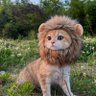 Fun profil fotoğrafı