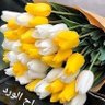 Profilbild von غانم سنكل بغداد جاي