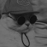 a millenial cat's profile picture
