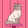 Samar Hijazi's profile picture