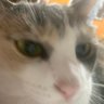 Profilbild von まぁや。