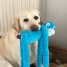 Roxy Pearl's profile picture