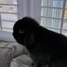 Beep Beep's profile picture