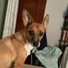 Bloomwoman A💔💙♥️🤘🎵 profil fotoğrafı