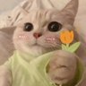 Profilbild von 悲伤修狗