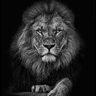 Thiago Silva's profile picture