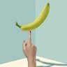 Profilbild von organize