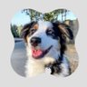 Marian's profile picture